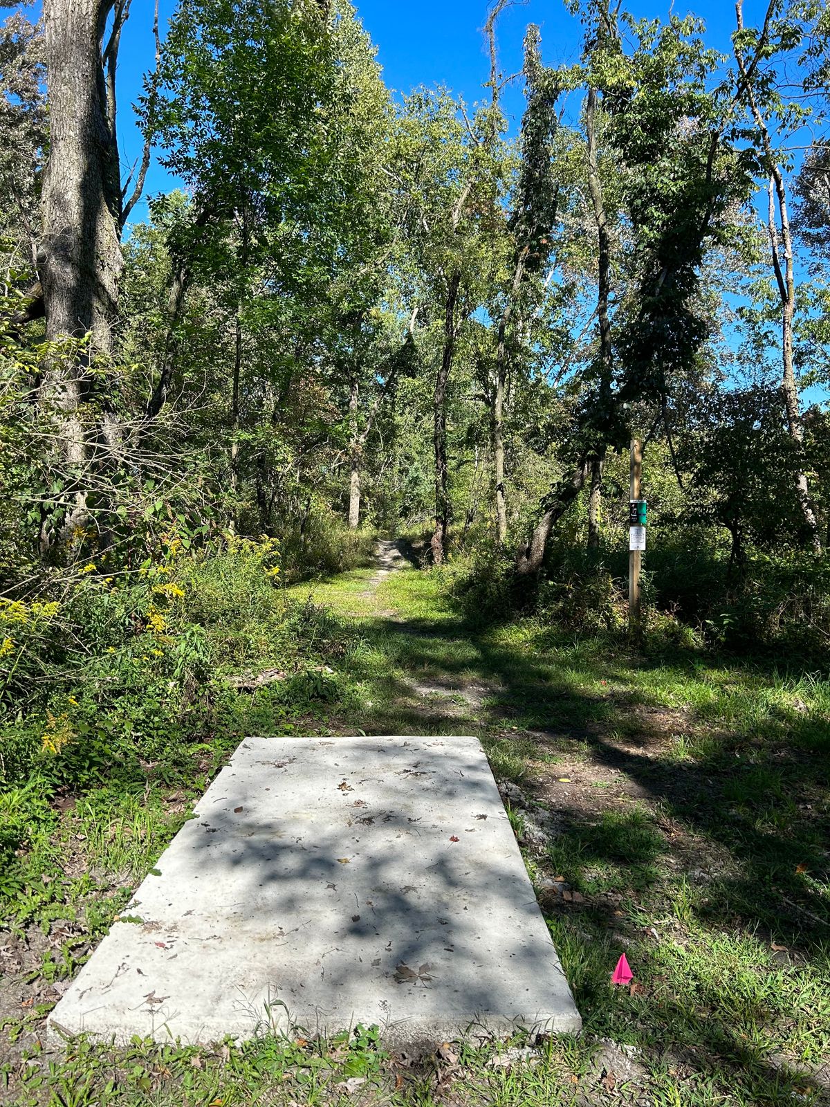 Hole 7