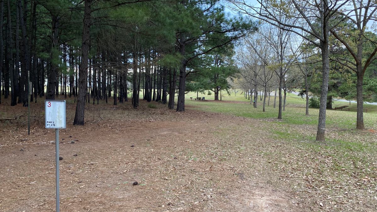 Hole 3