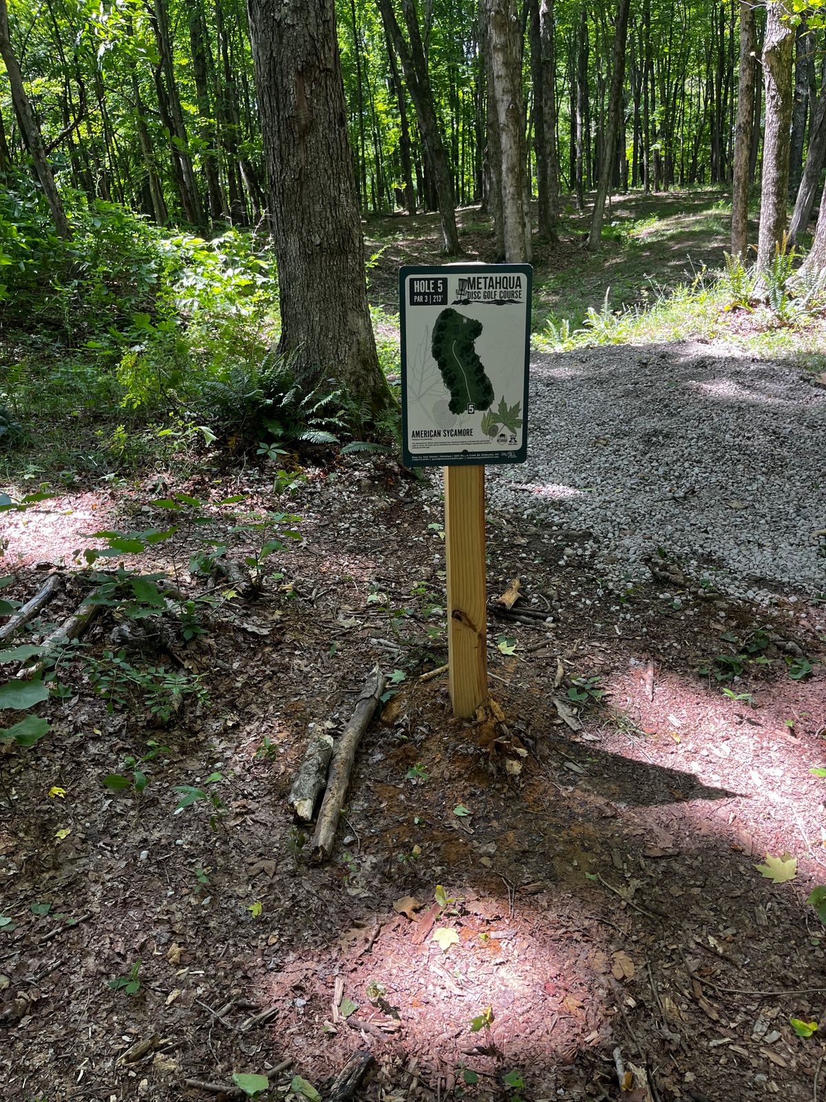 Hole 5 tee sign