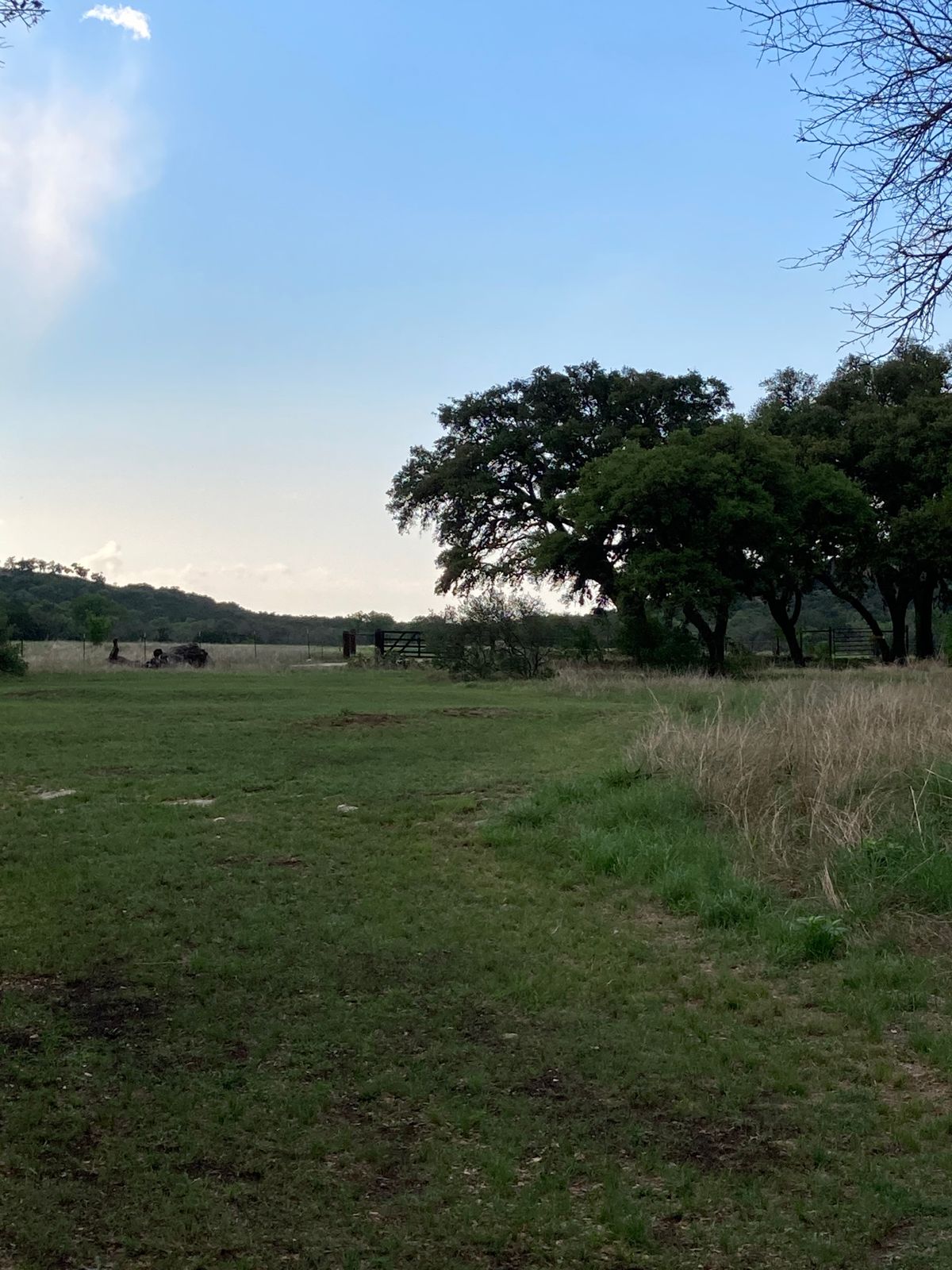 Hole 3 fairway… Prettiest fairway I’ve ever seen