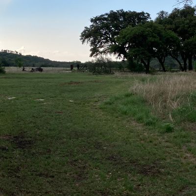Hole 3 fairway… Prettiest fairway I’ve ever seen