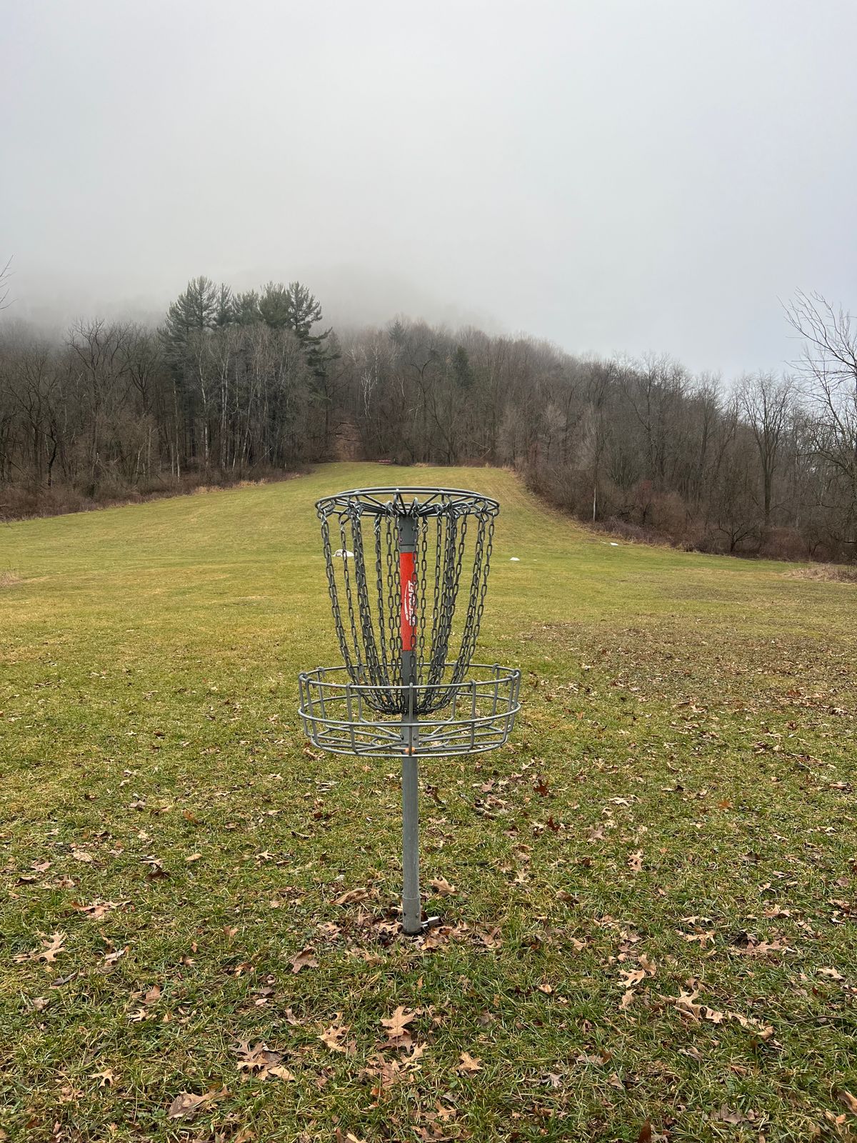 Hole 17 basket looking uphill 12/29/24