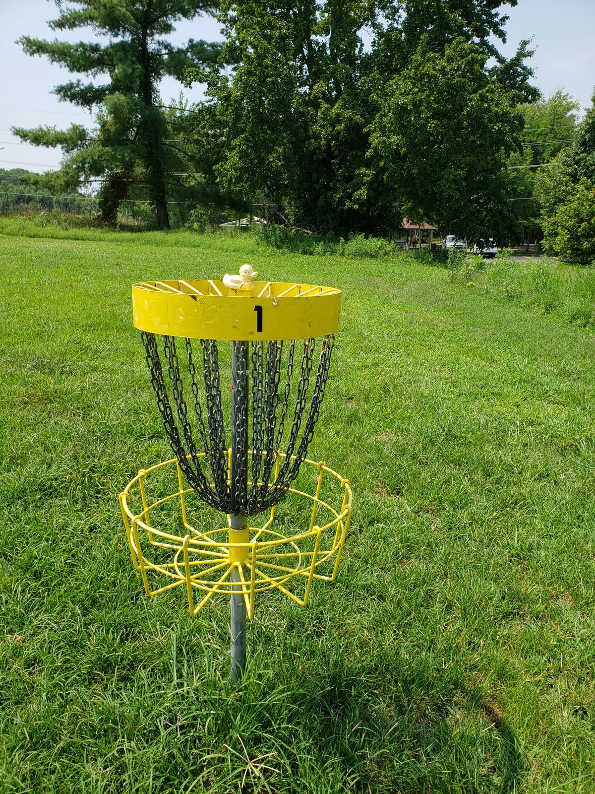 Basket #1, bring mosquito repellent to play this course.