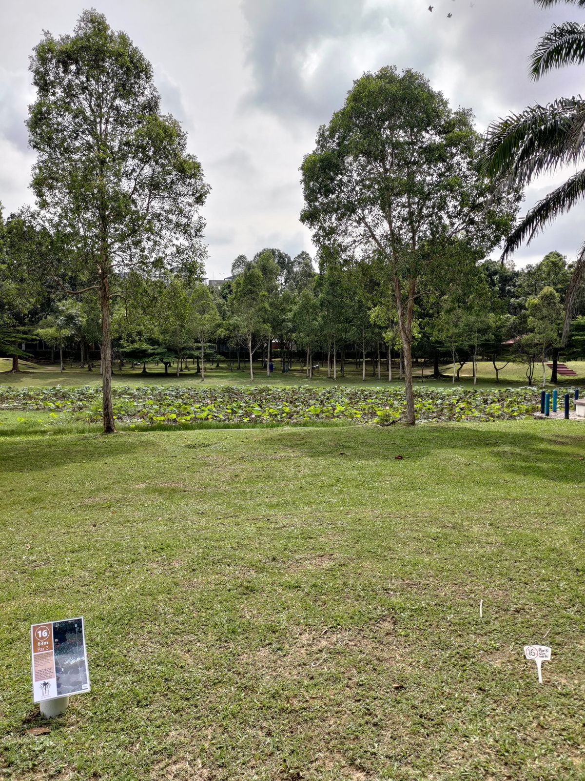 Hole 16 teepad