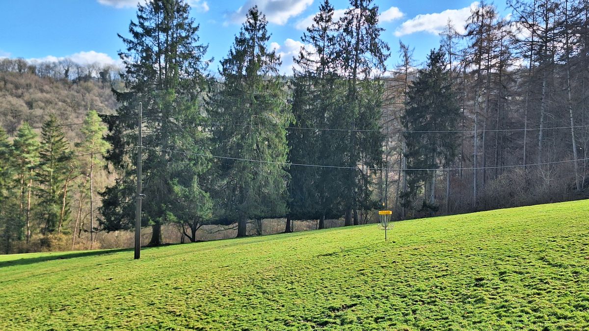 Hole 14 basket