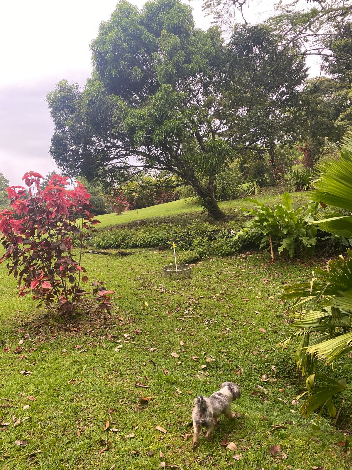 Hole 12
