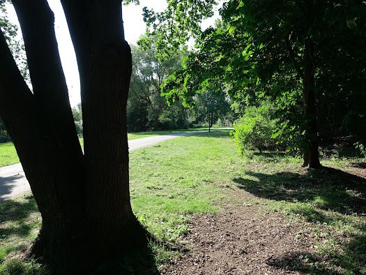 Tee 5