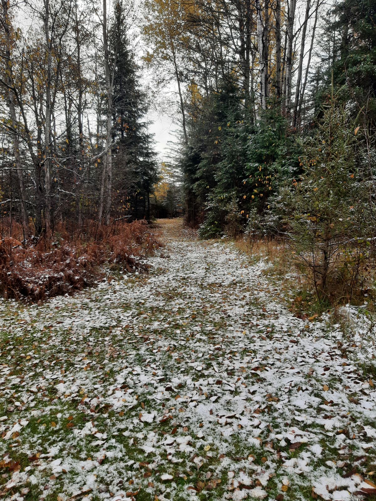 Hole 2 dogleg fairway
