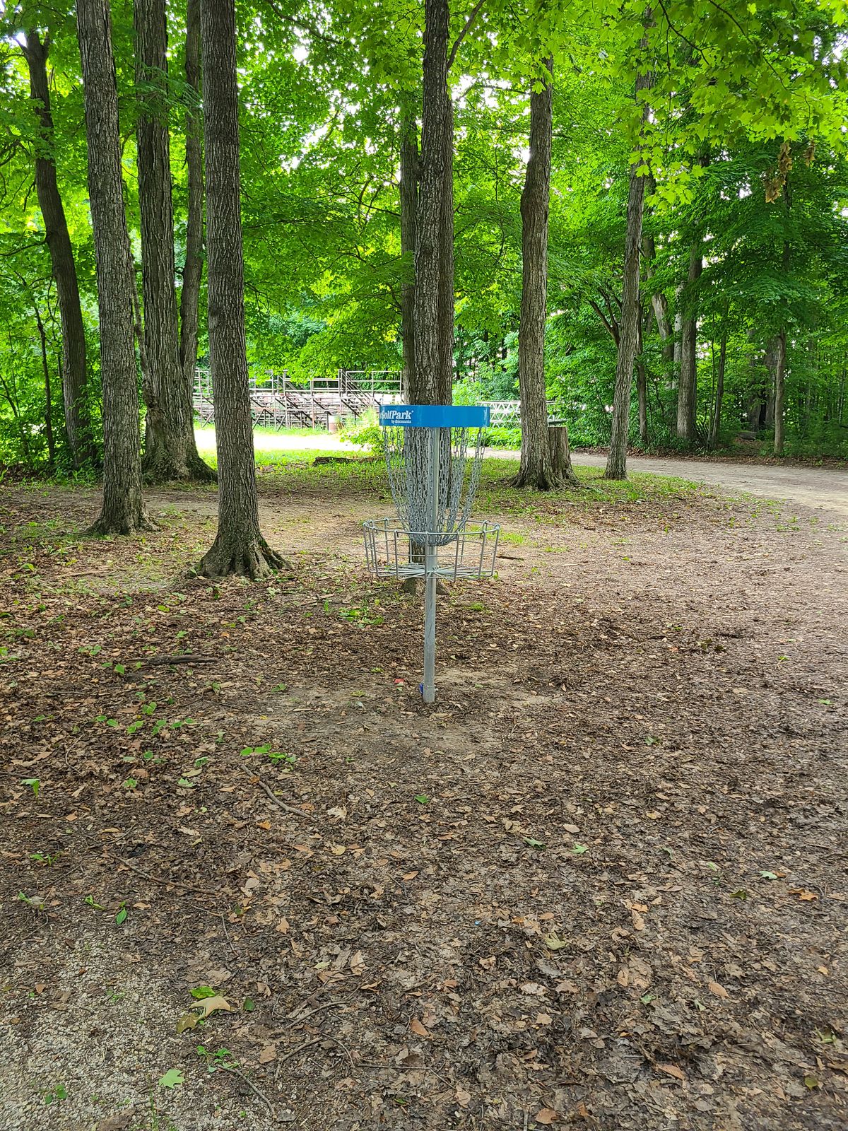 Basket #6 in the woods.
