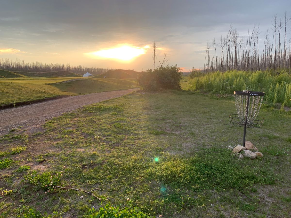 Hole 12 basket (par 4)