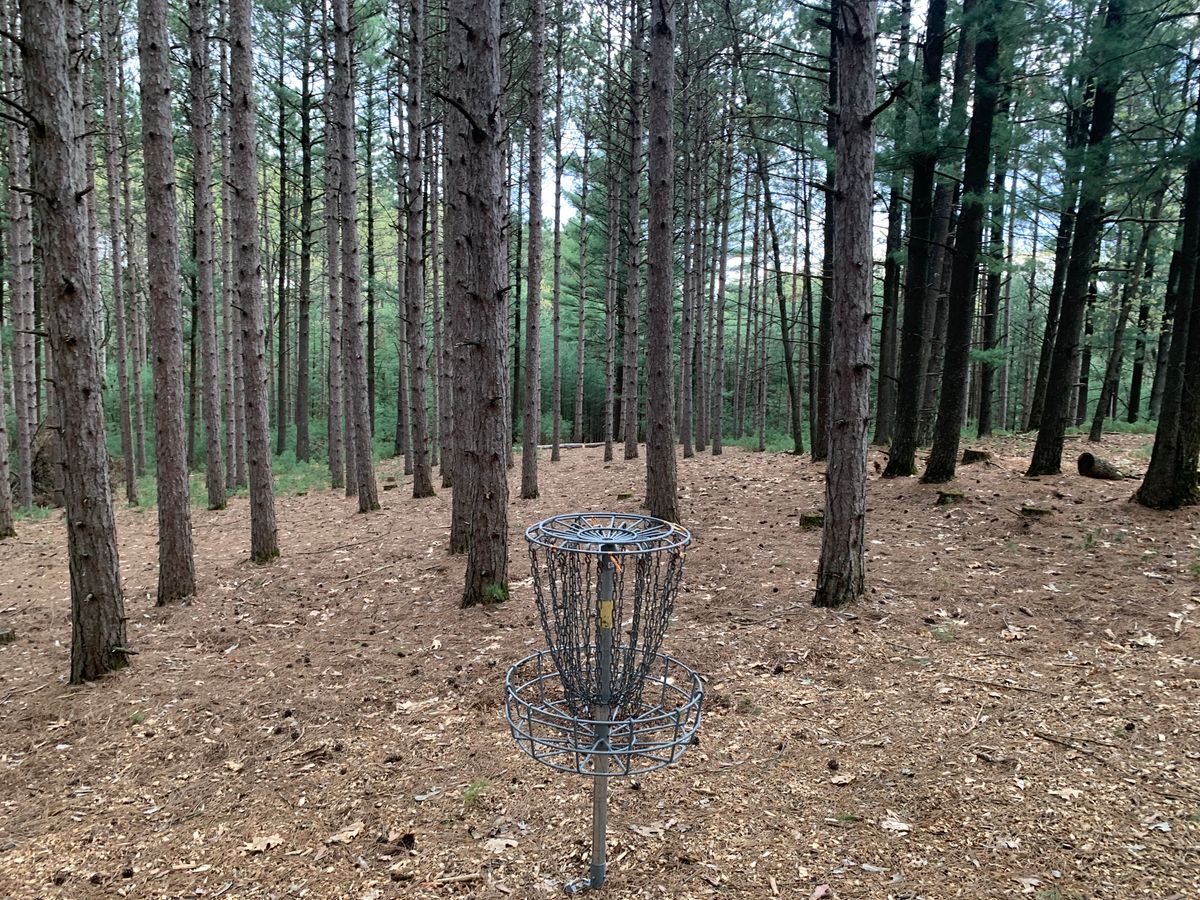 Hole 4 looking back at tee