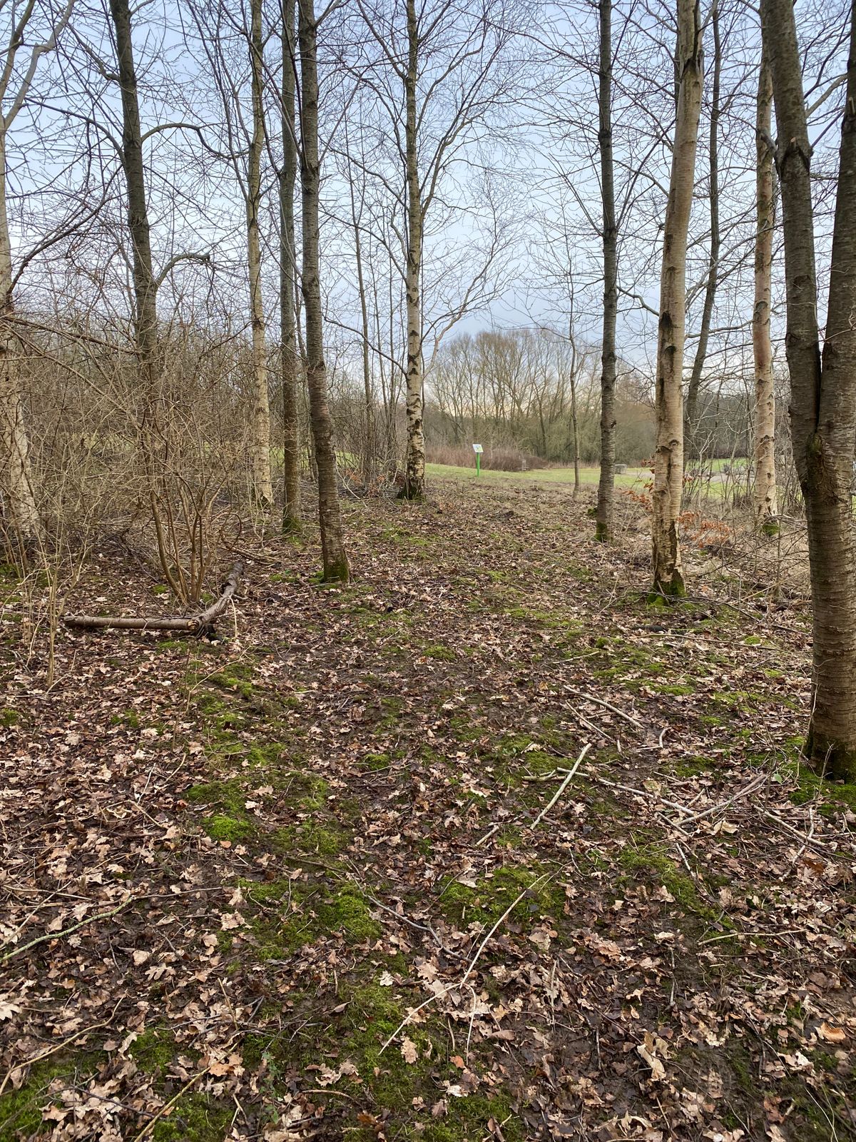 2021 New white tee, hole 18
