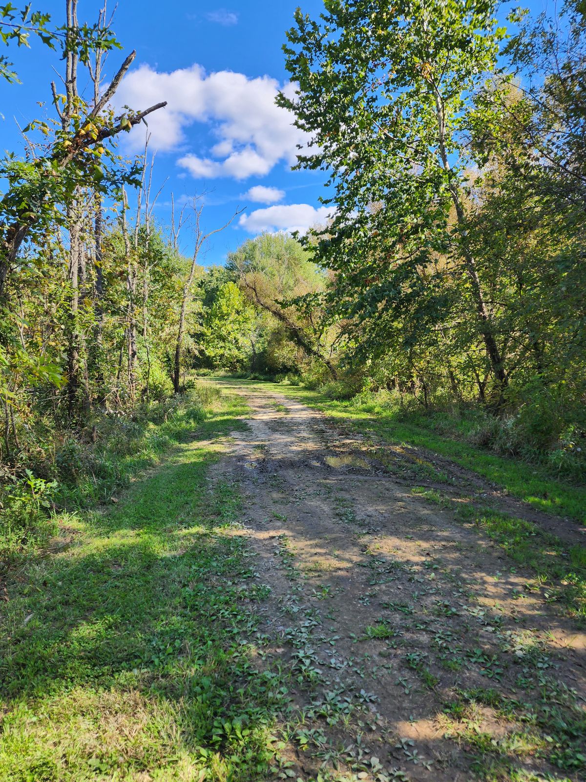 No. 5 fairway