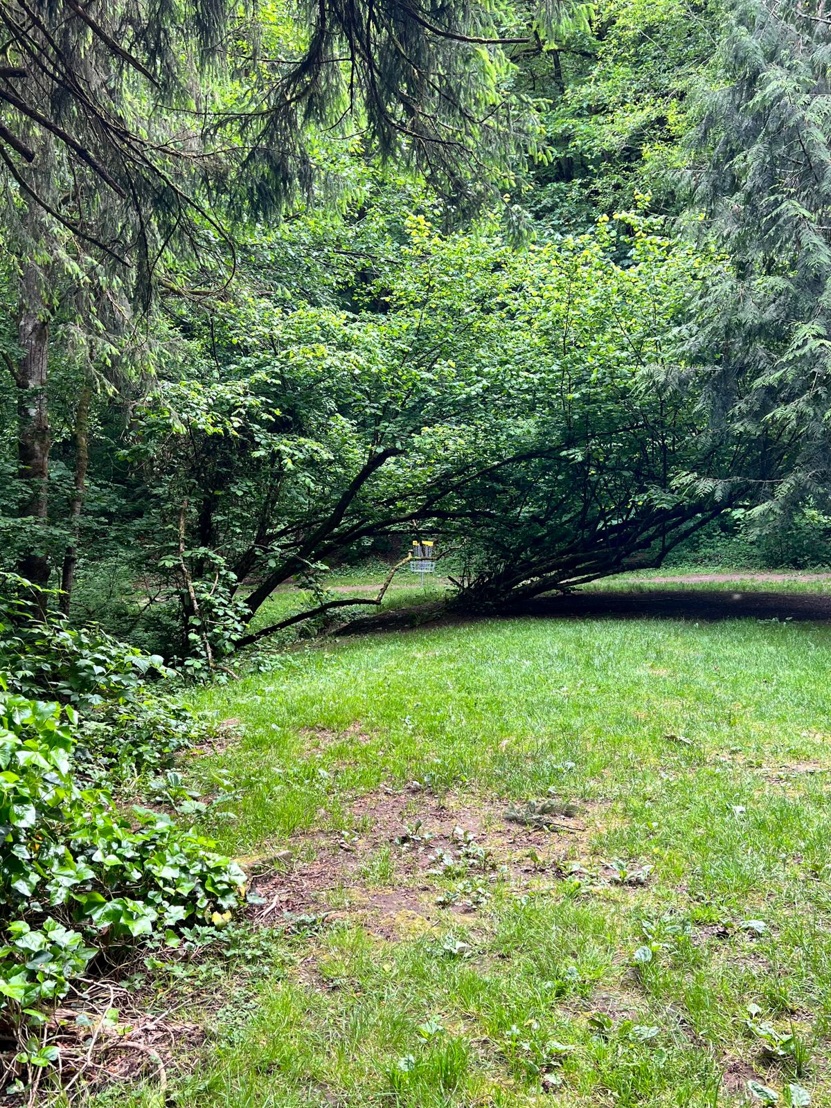 Hole 10 green