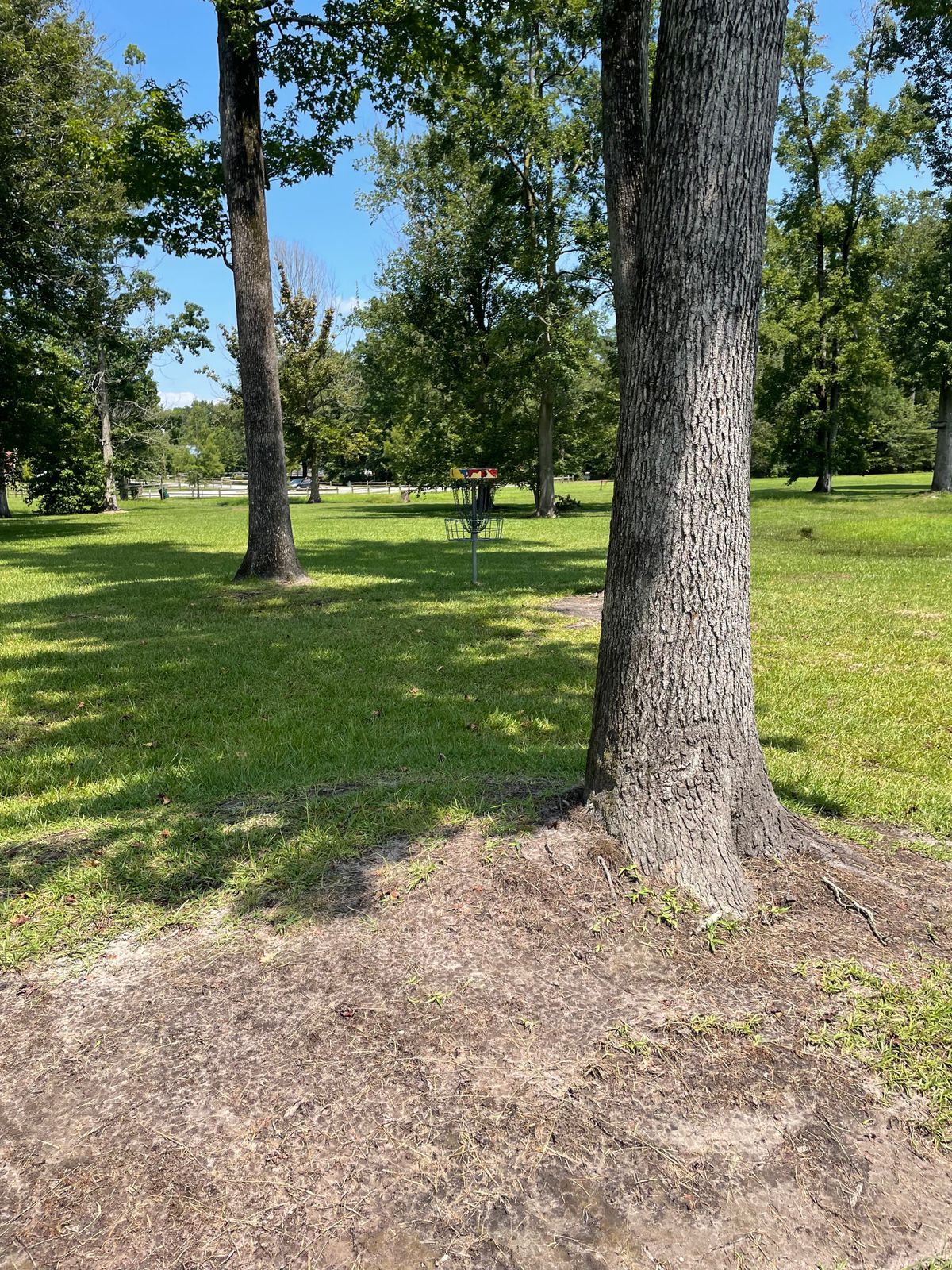 Approach to the basket from White/Red tee