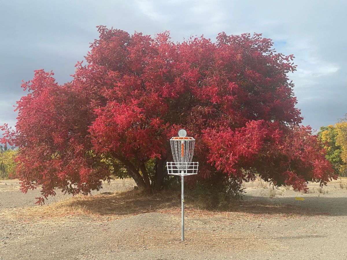 Hole 10a in the fall….