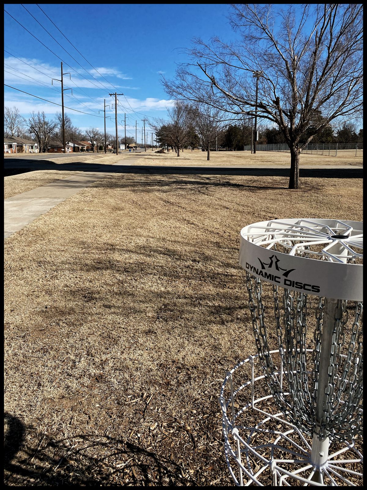 #6 green