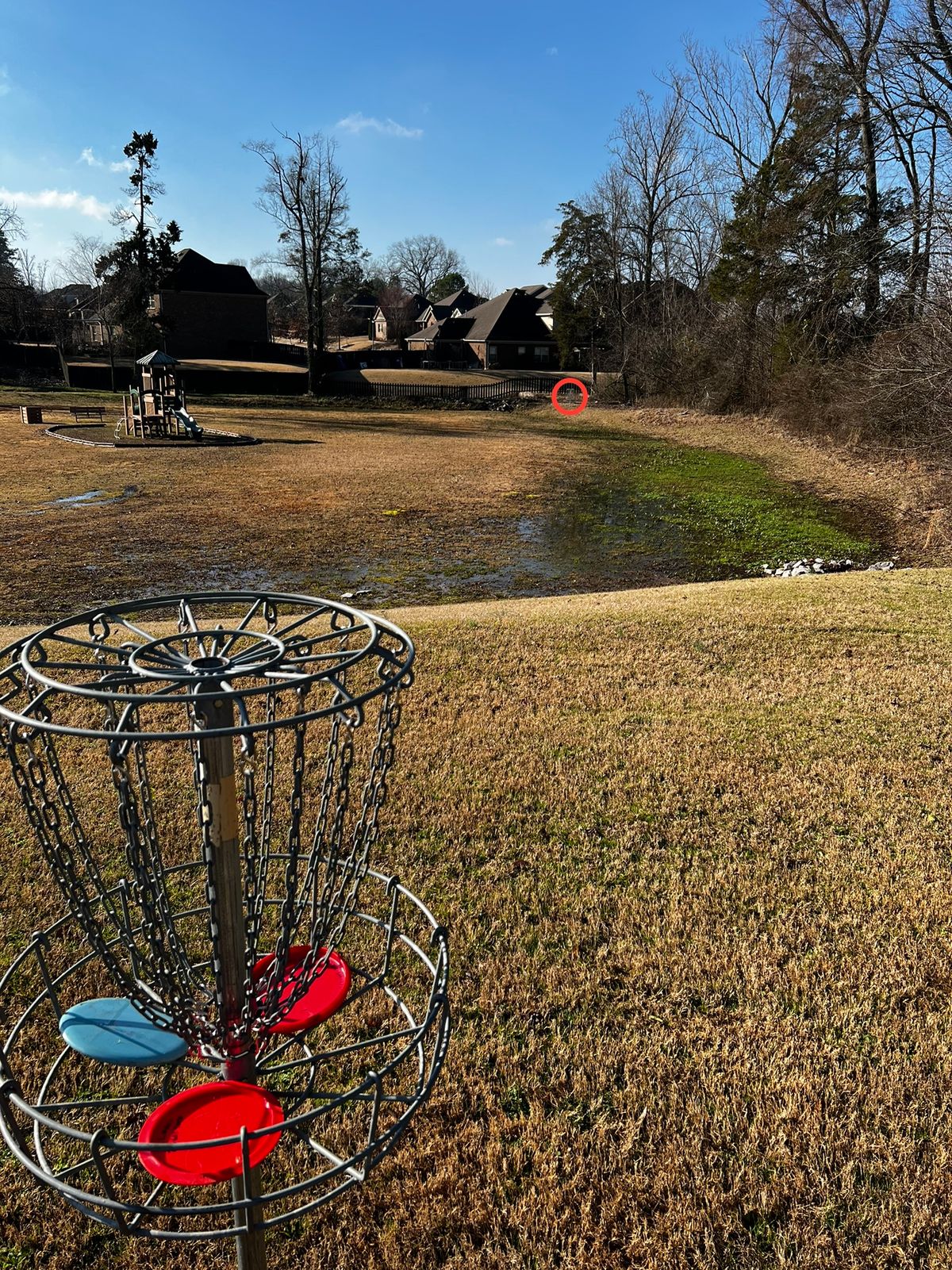 Hole 4 basket