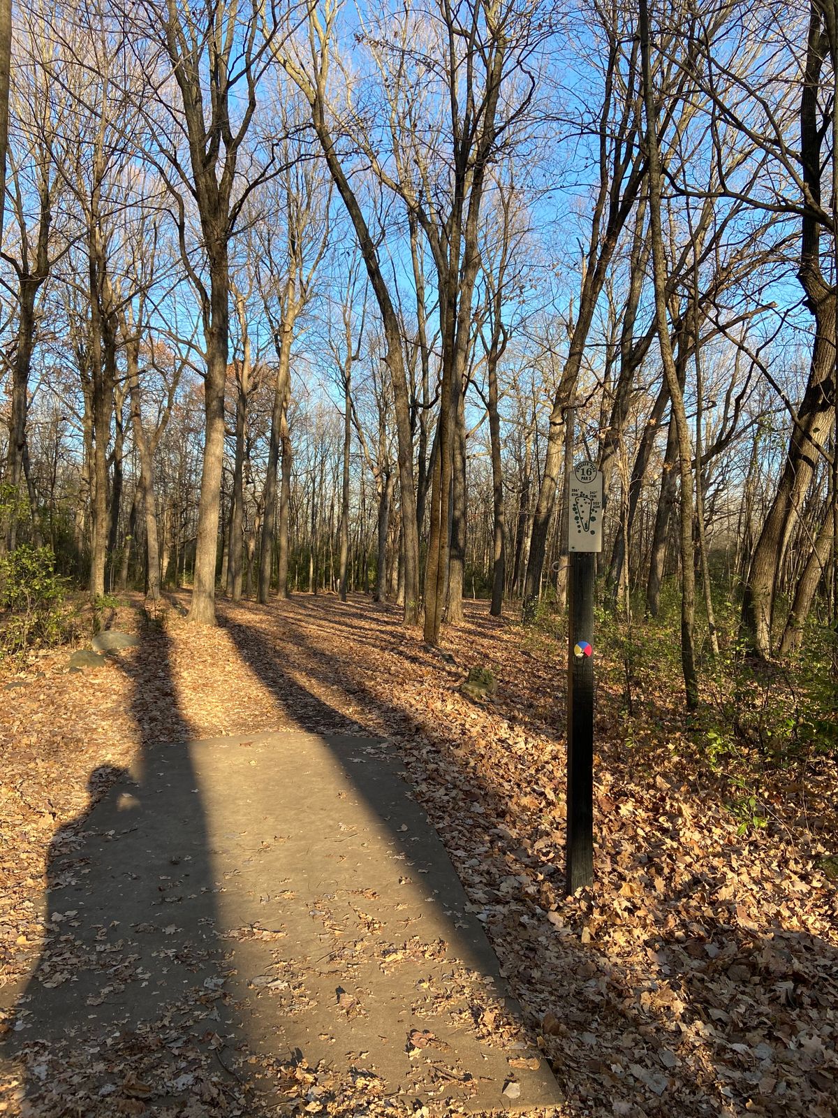 Hole 16 red tee