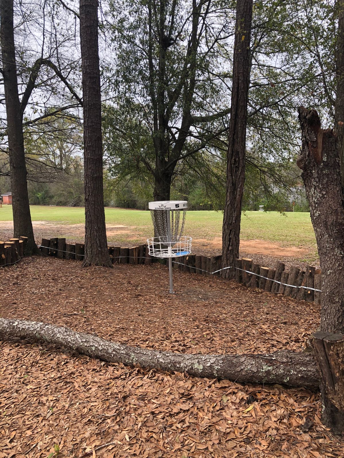 Hole 5