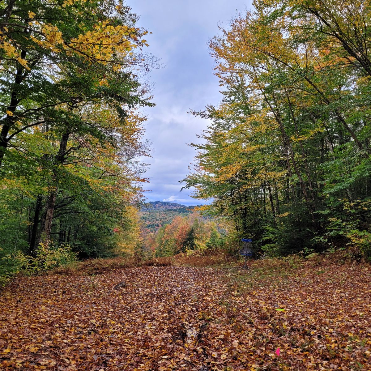 Great leaf peeping available at Whaleback!