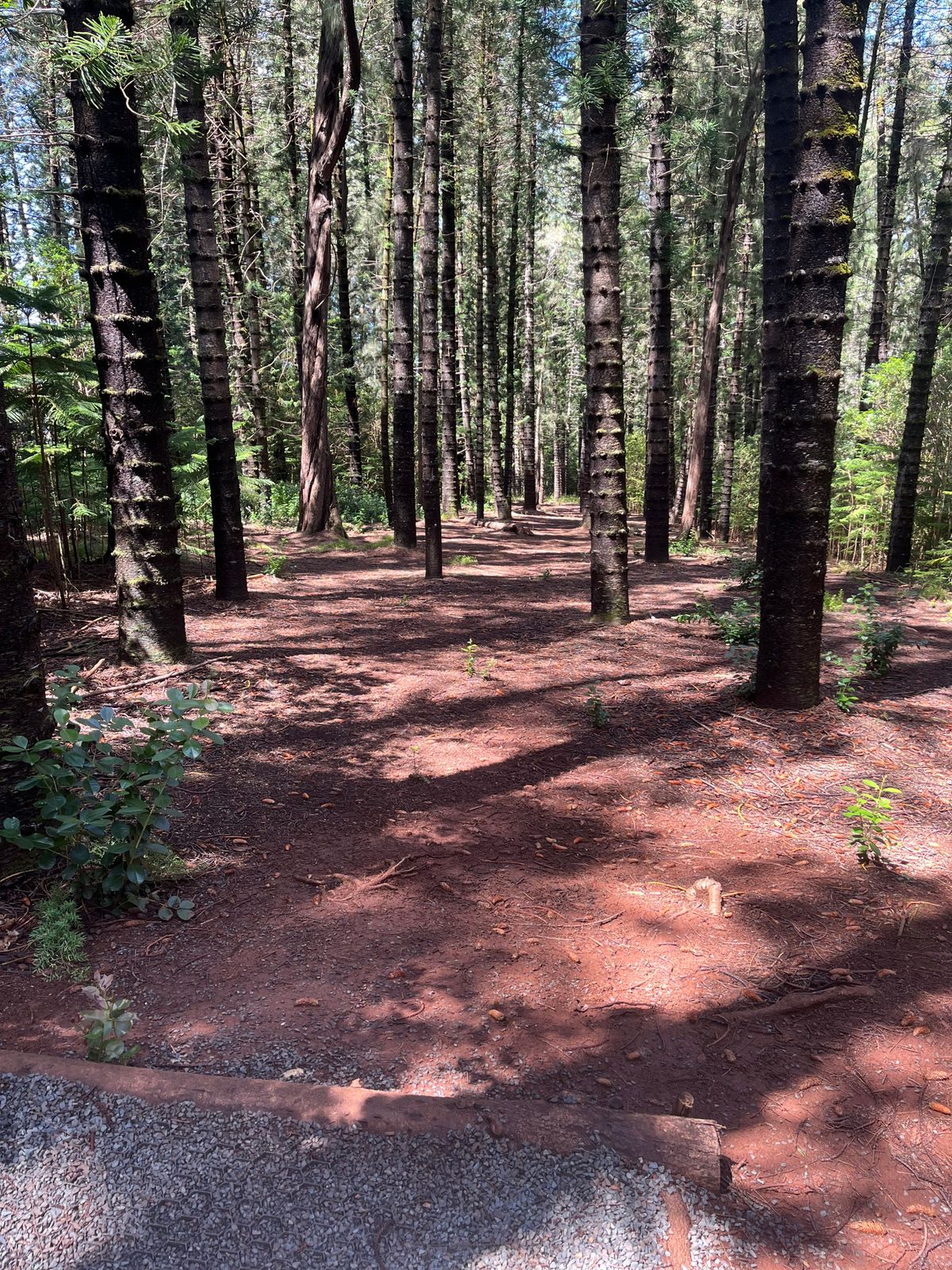 Hole 2