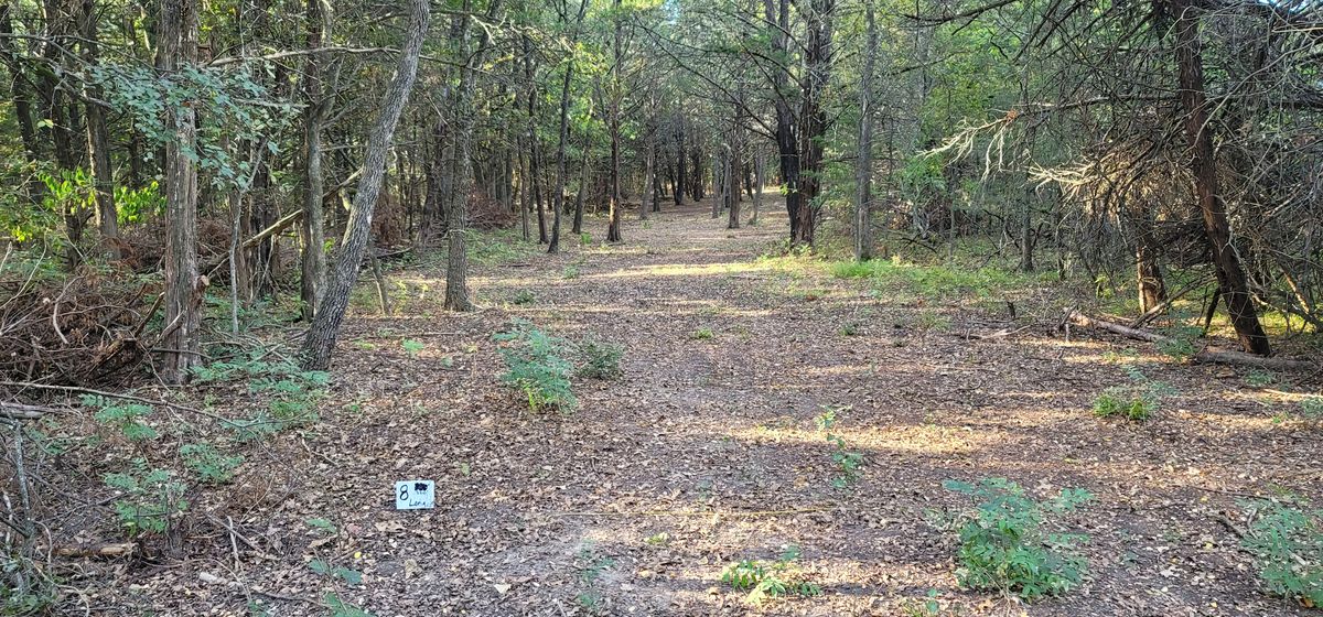 Hole 8 long