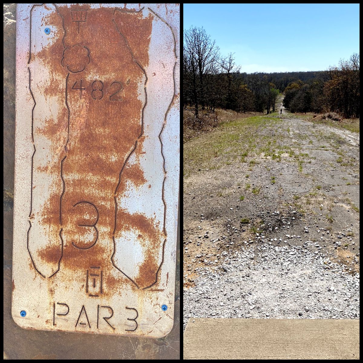 #3 Tee throwing south downhill along an old roadway