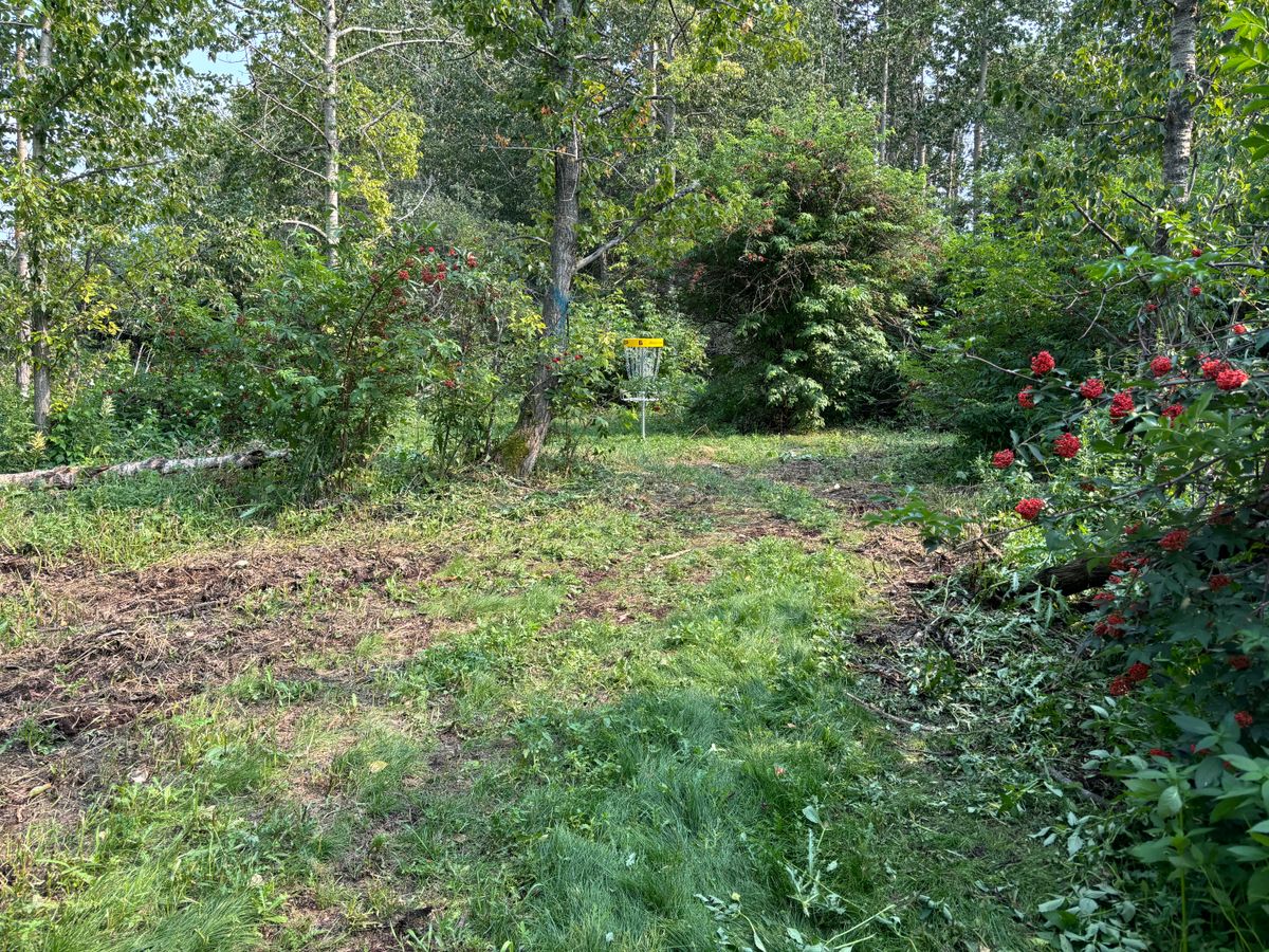 Hole 6 green