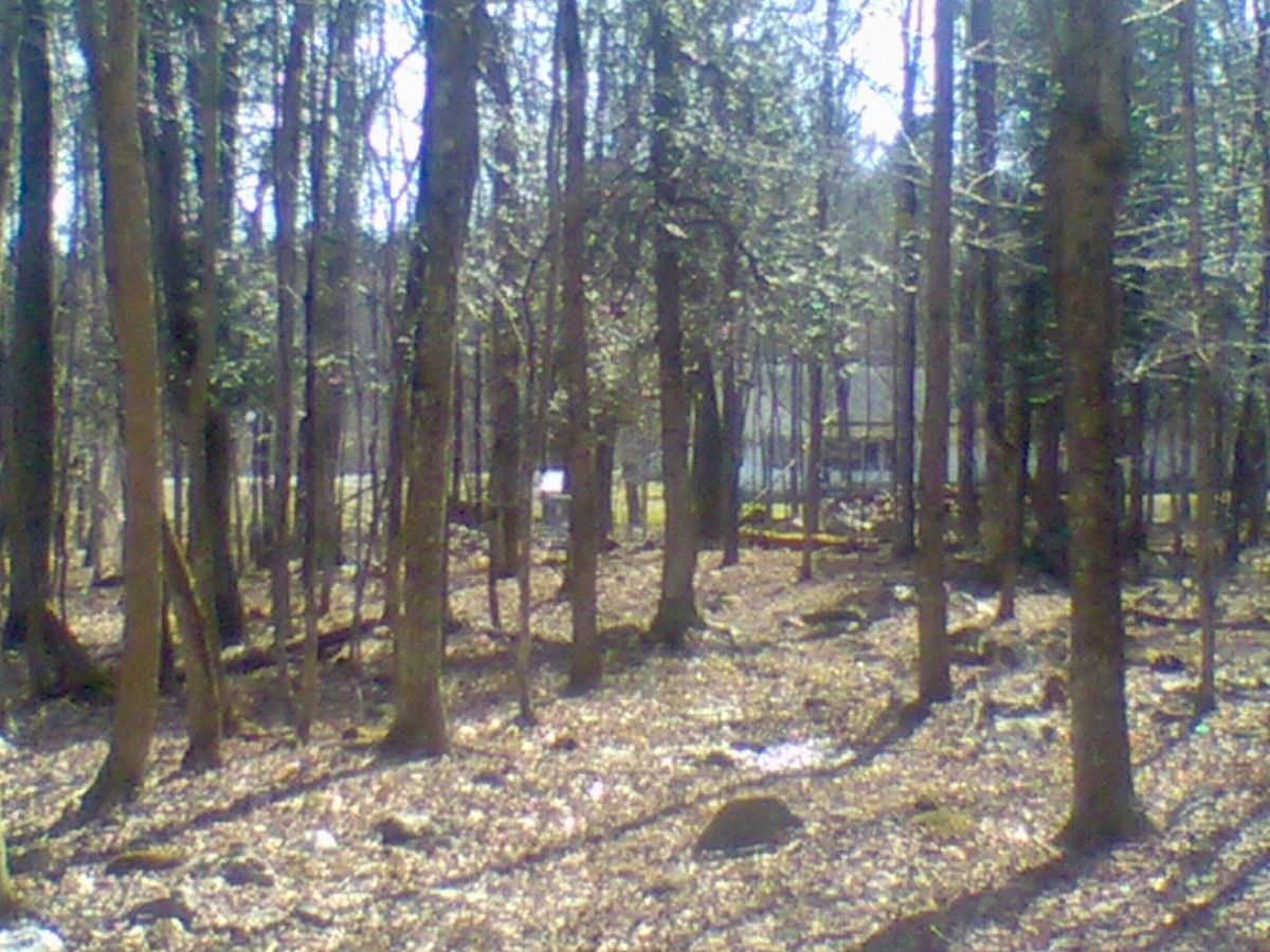 Hole 17