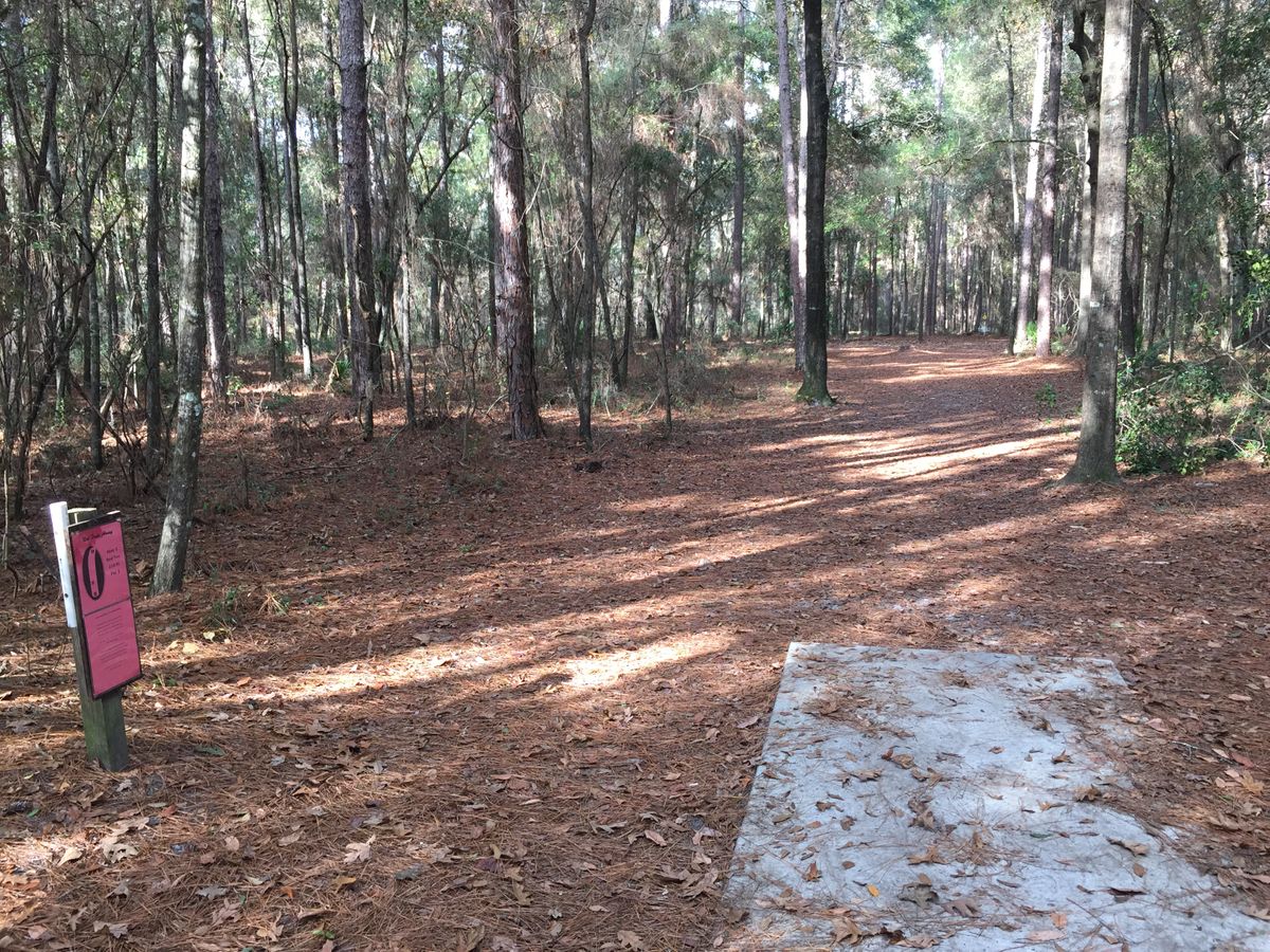 Hole 5