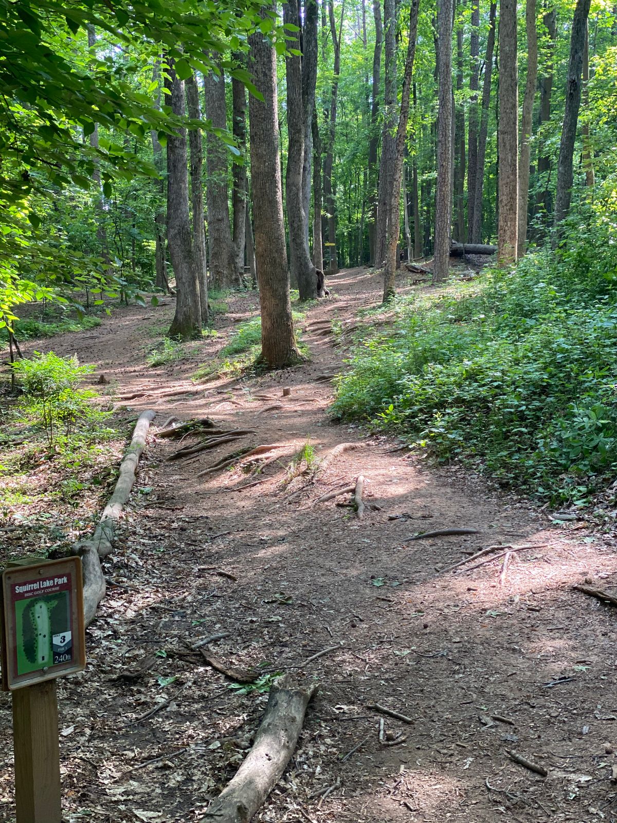 Hole 3 tee