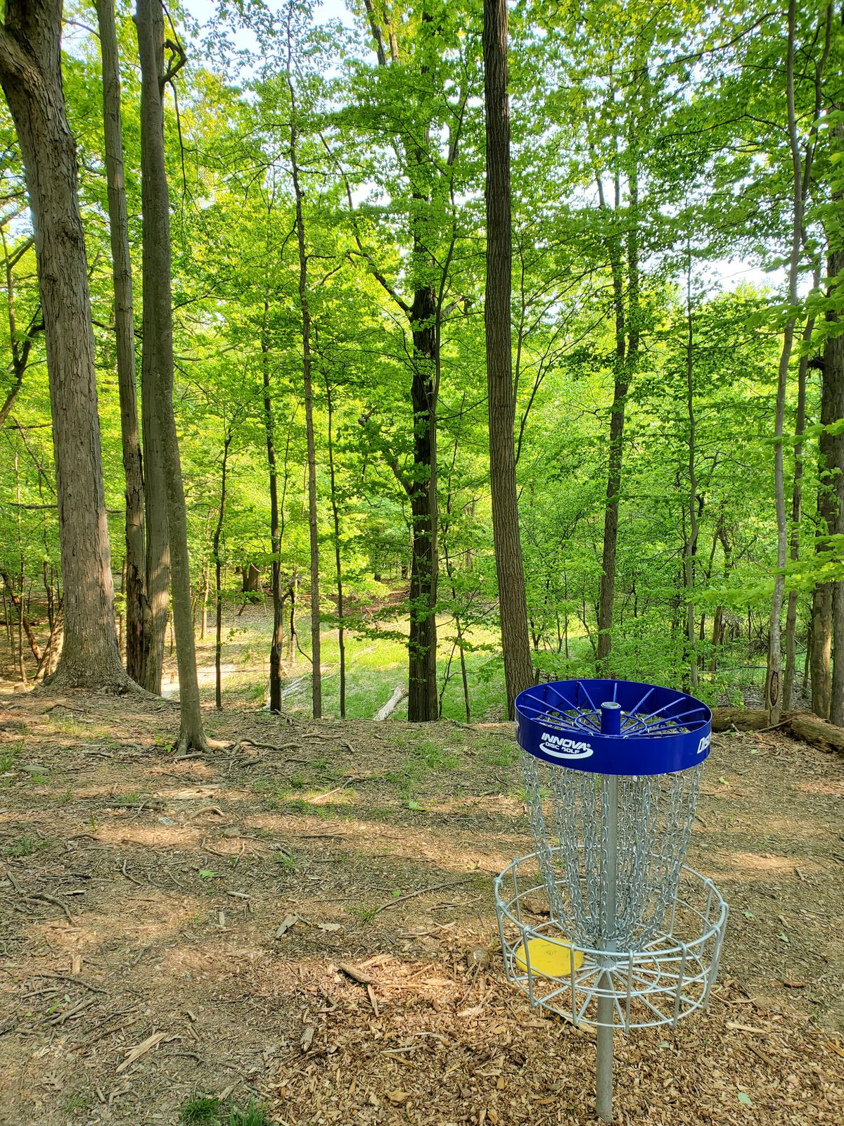 Basket to fairway.