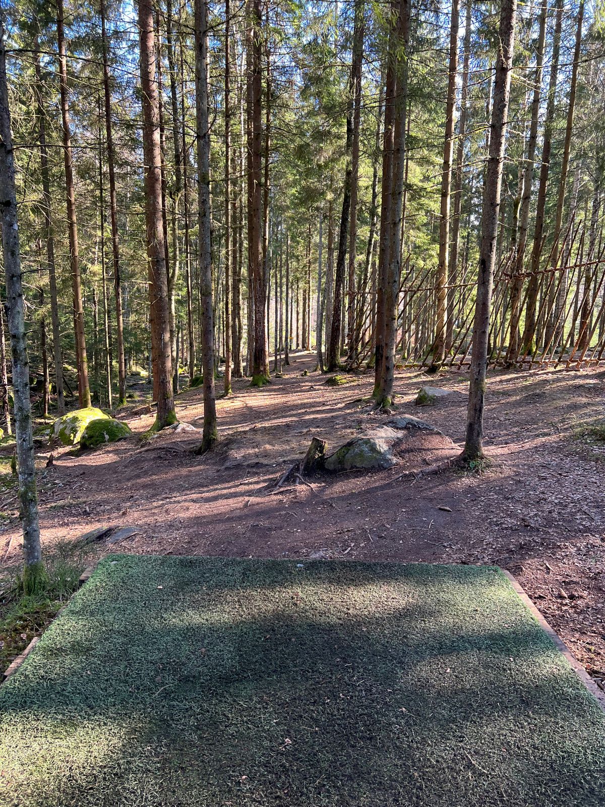 Hole 7 from tee