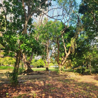 Parque Omar DG Course
Hole 6 Target