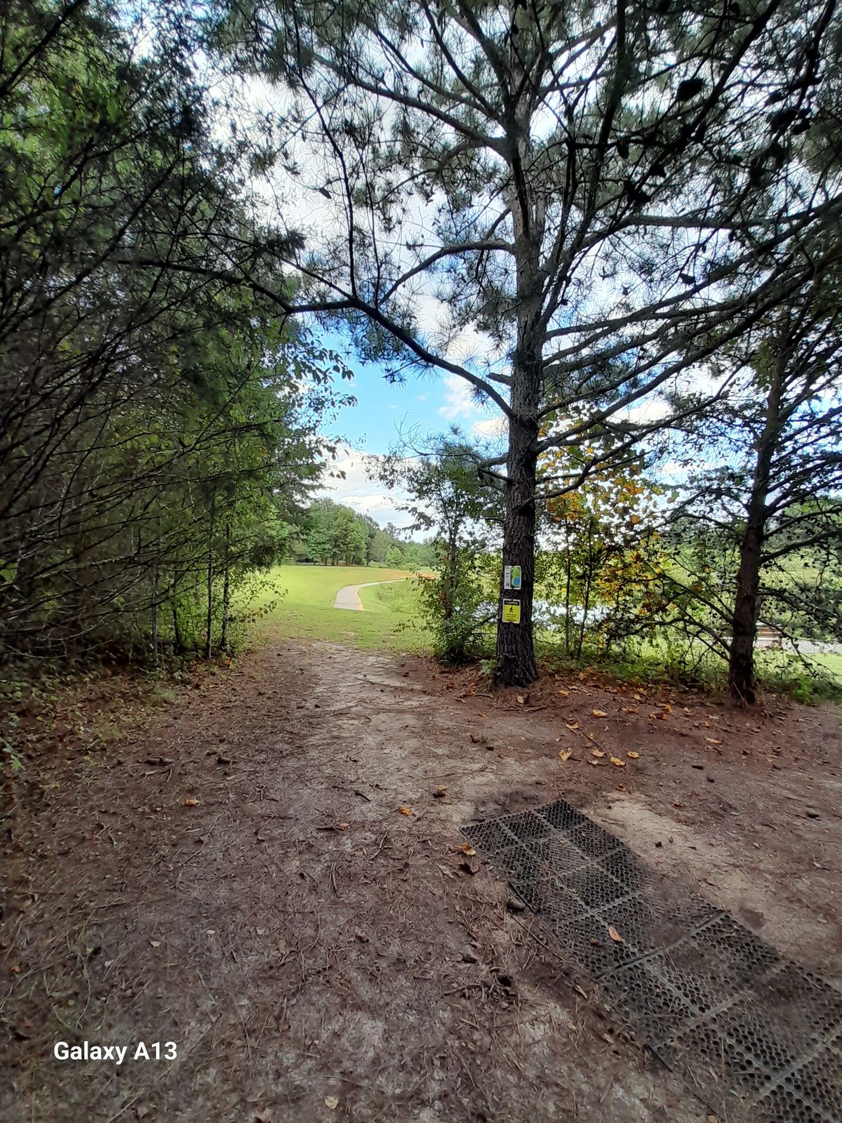 Hole #8