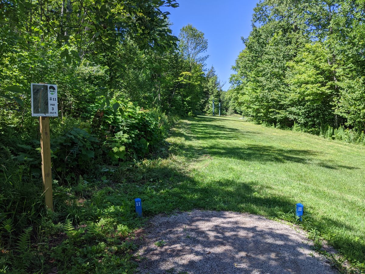 Hole 11