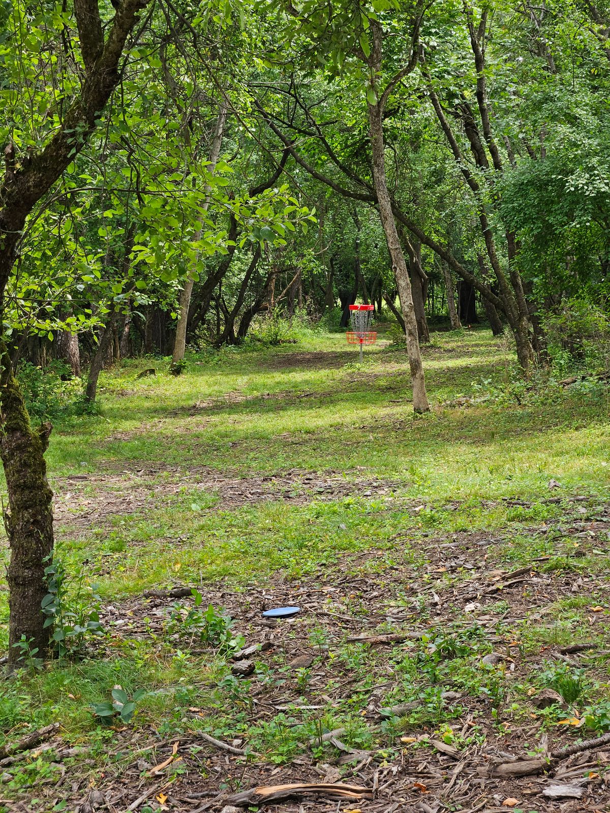 Approach on Hole 7