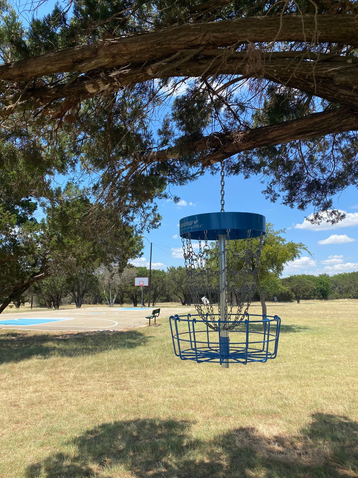 Hole 4 hanging basket