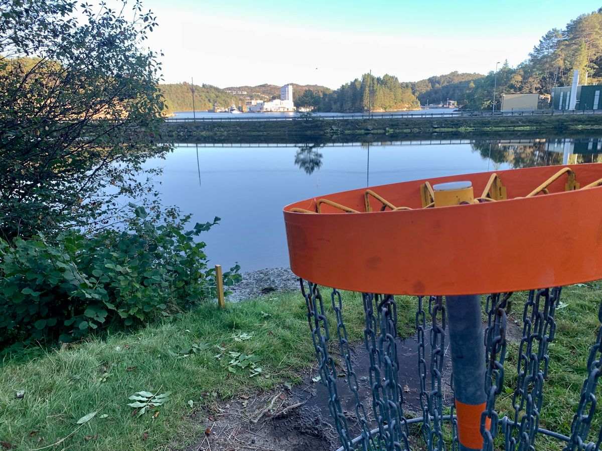 Orange 🟠 Basket