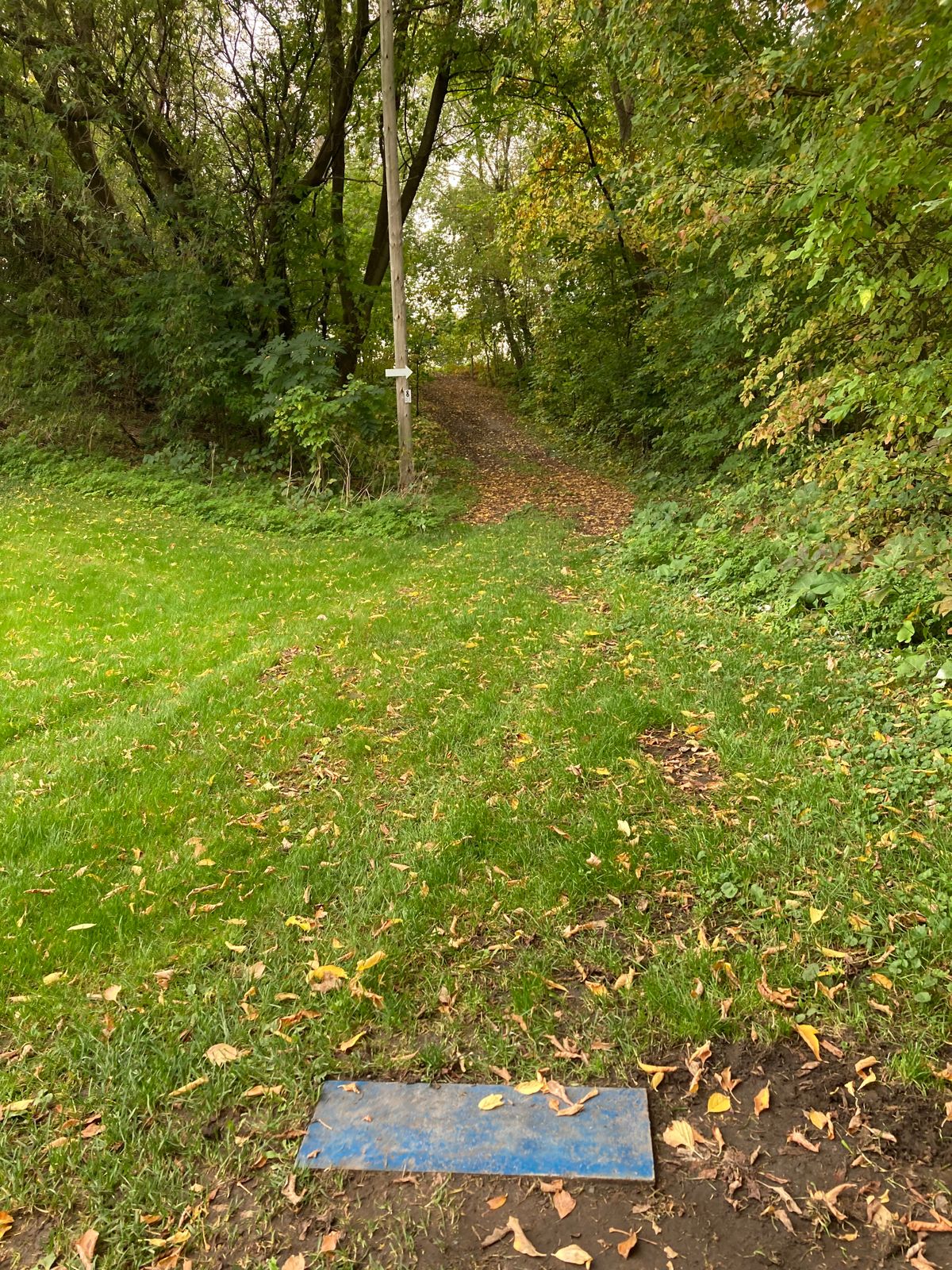 Départ #8, panier en haut de la côte, à gauche à la sortie de la forêt