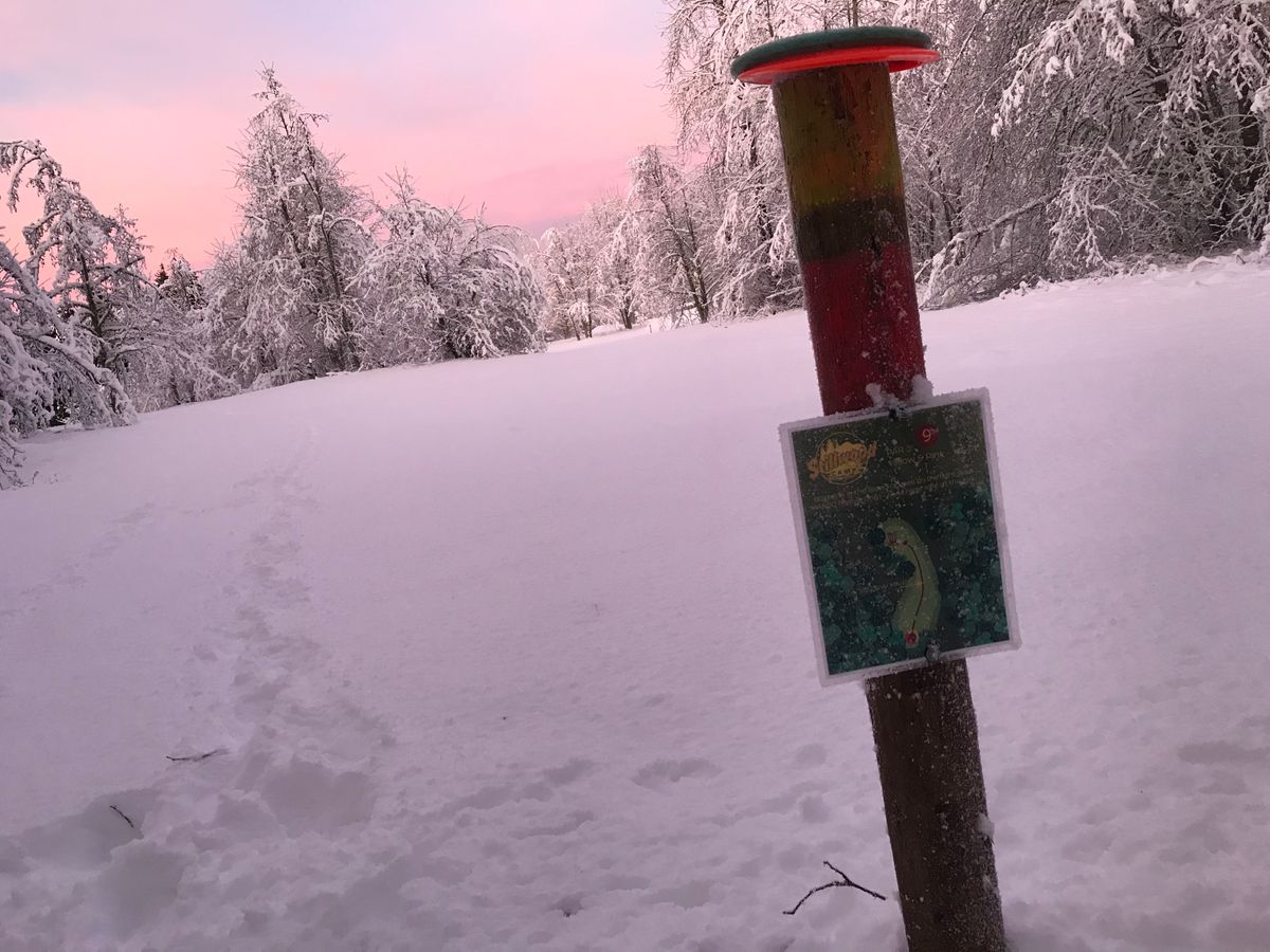 Some winter disc golf at Stillwood hole 8