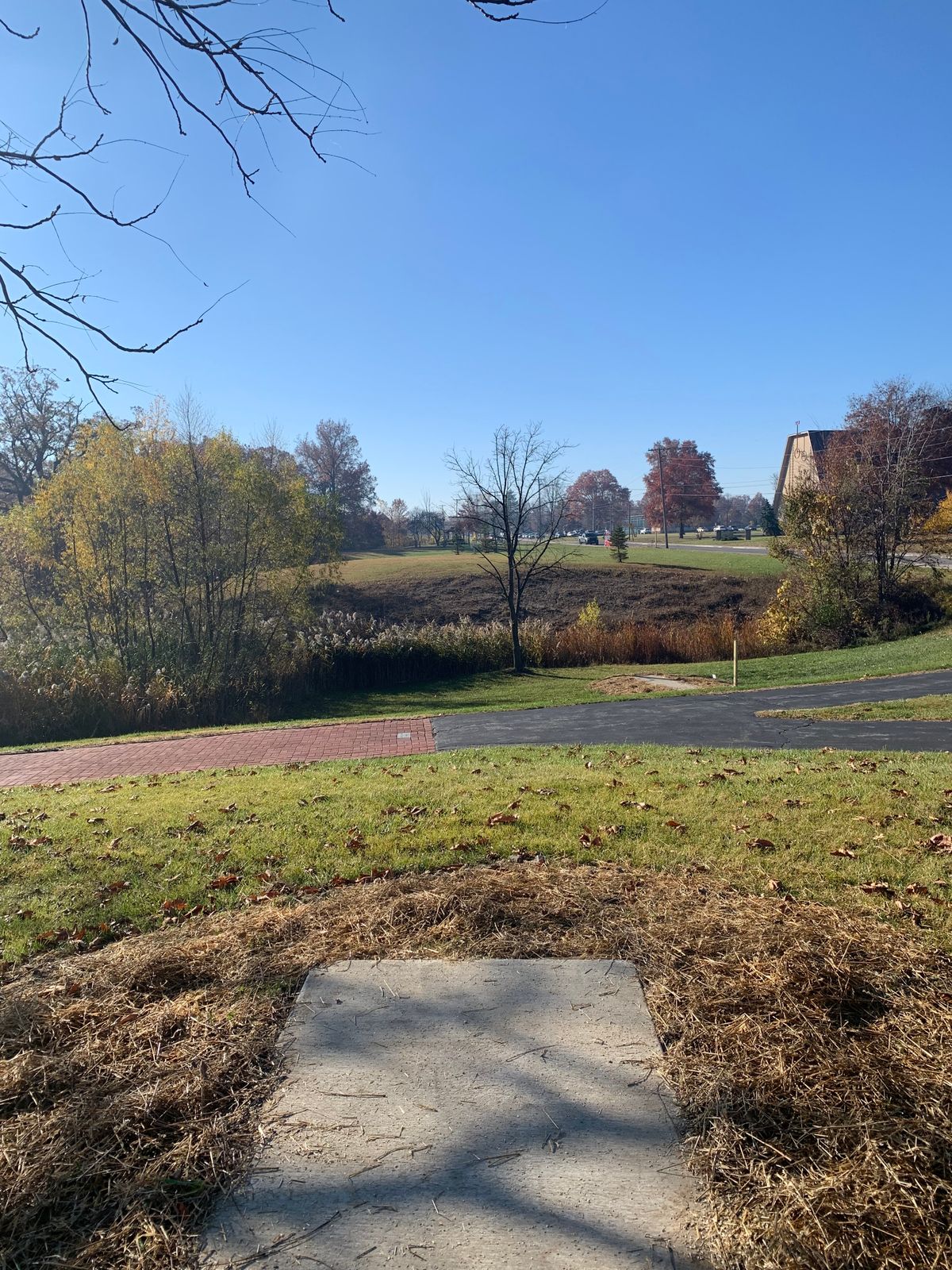 Hole 8 - Pro Tee