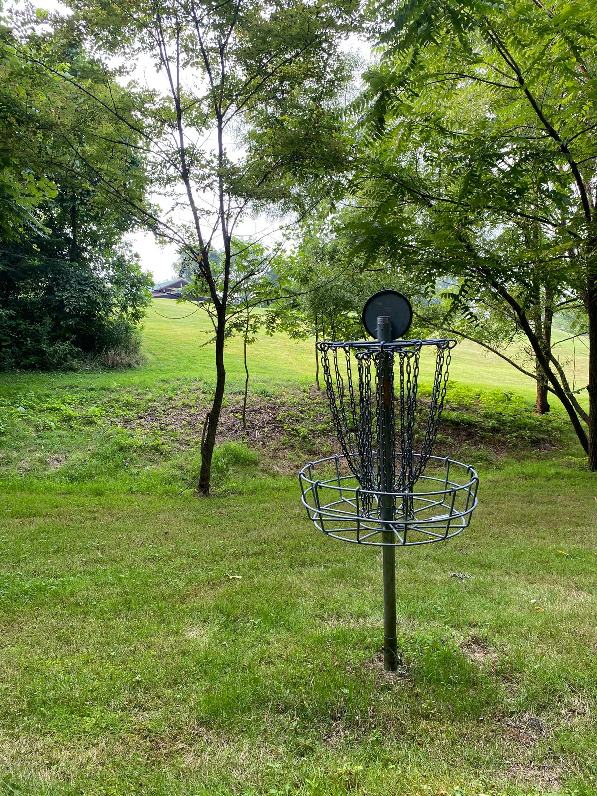 Hole 3 looking back towards the tee