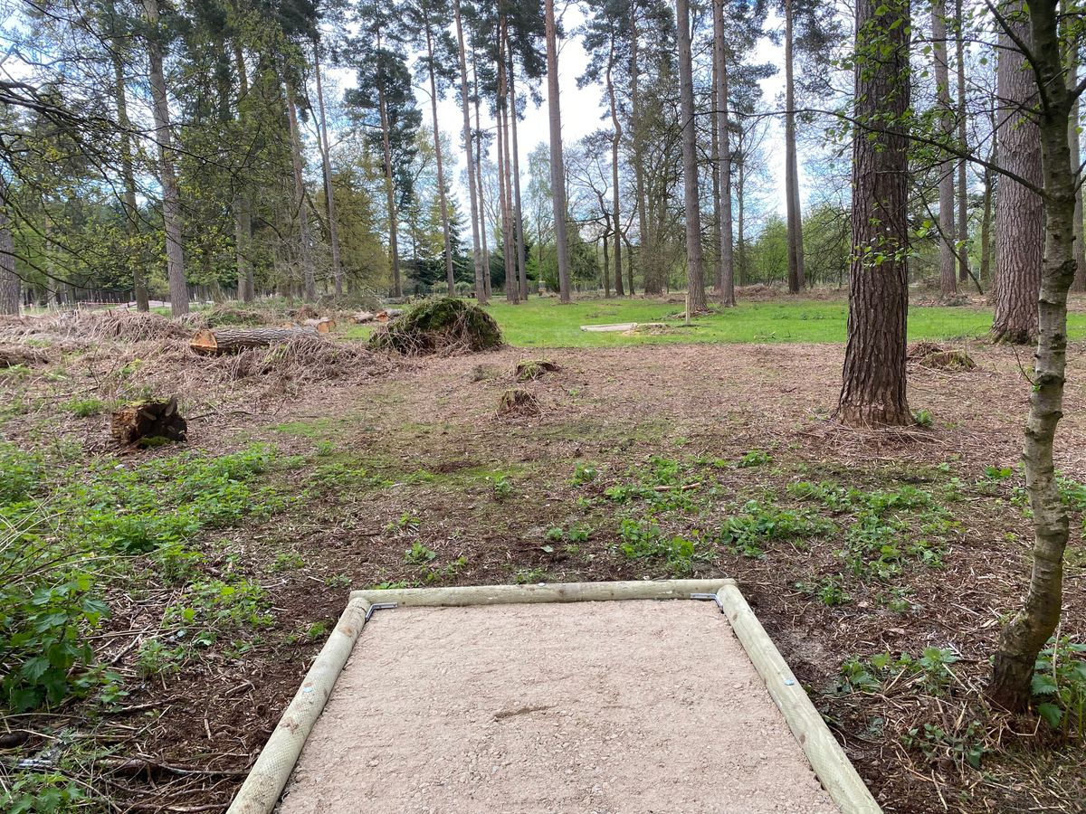 Tee 3 long