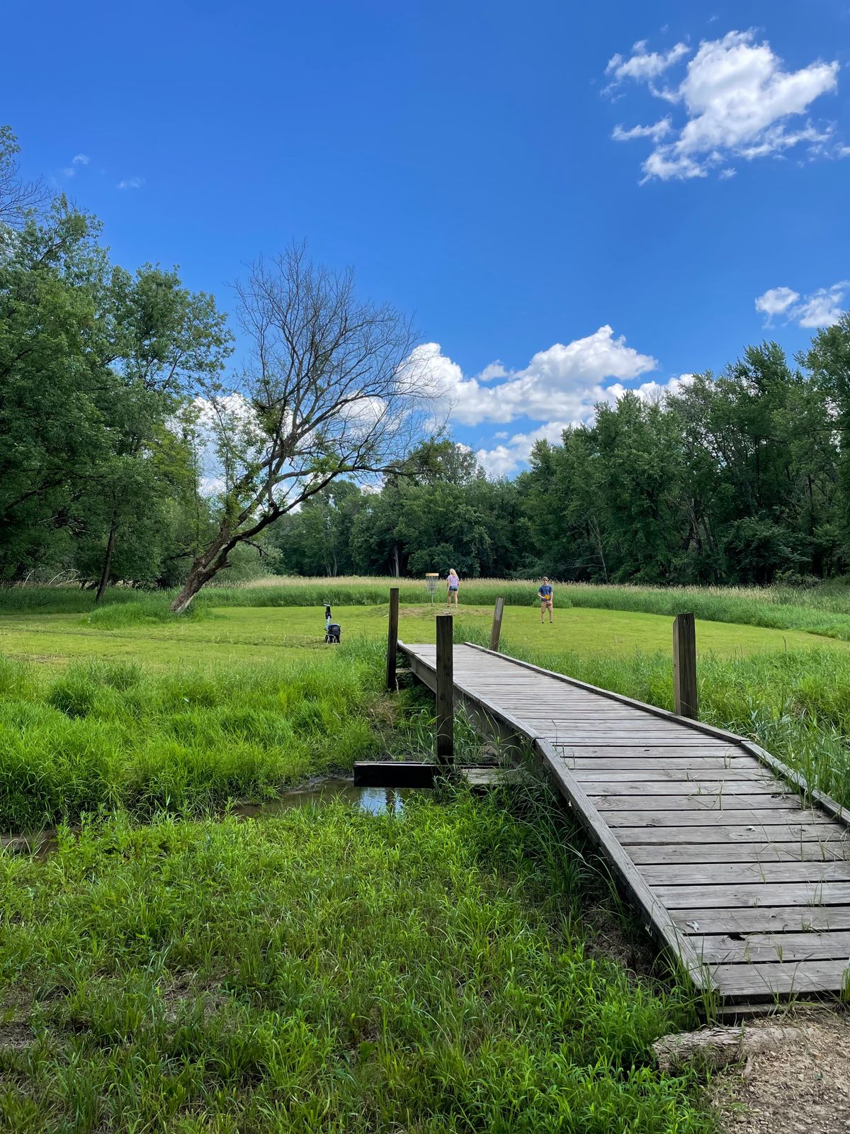 Island hole 14