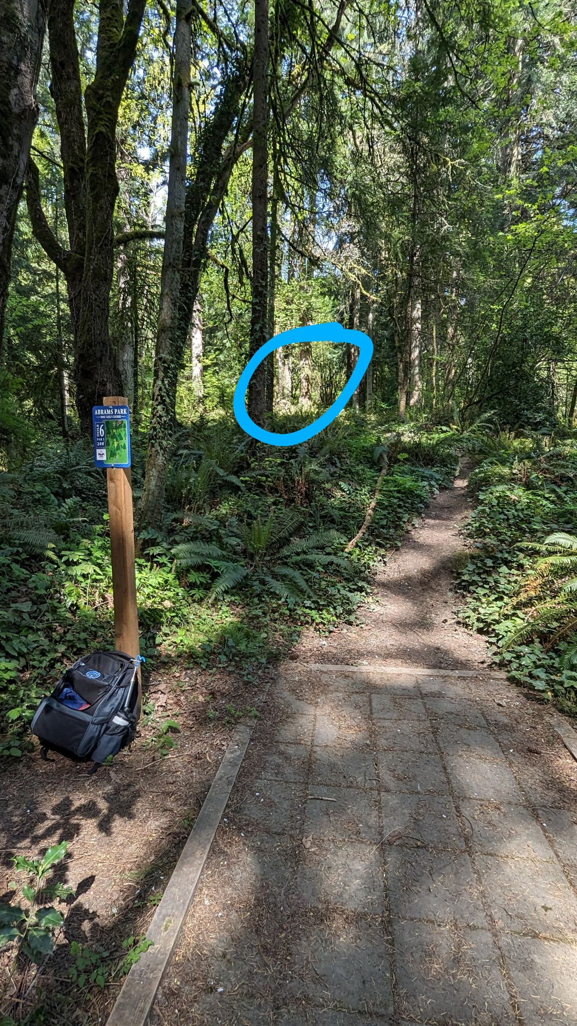 Hole 6