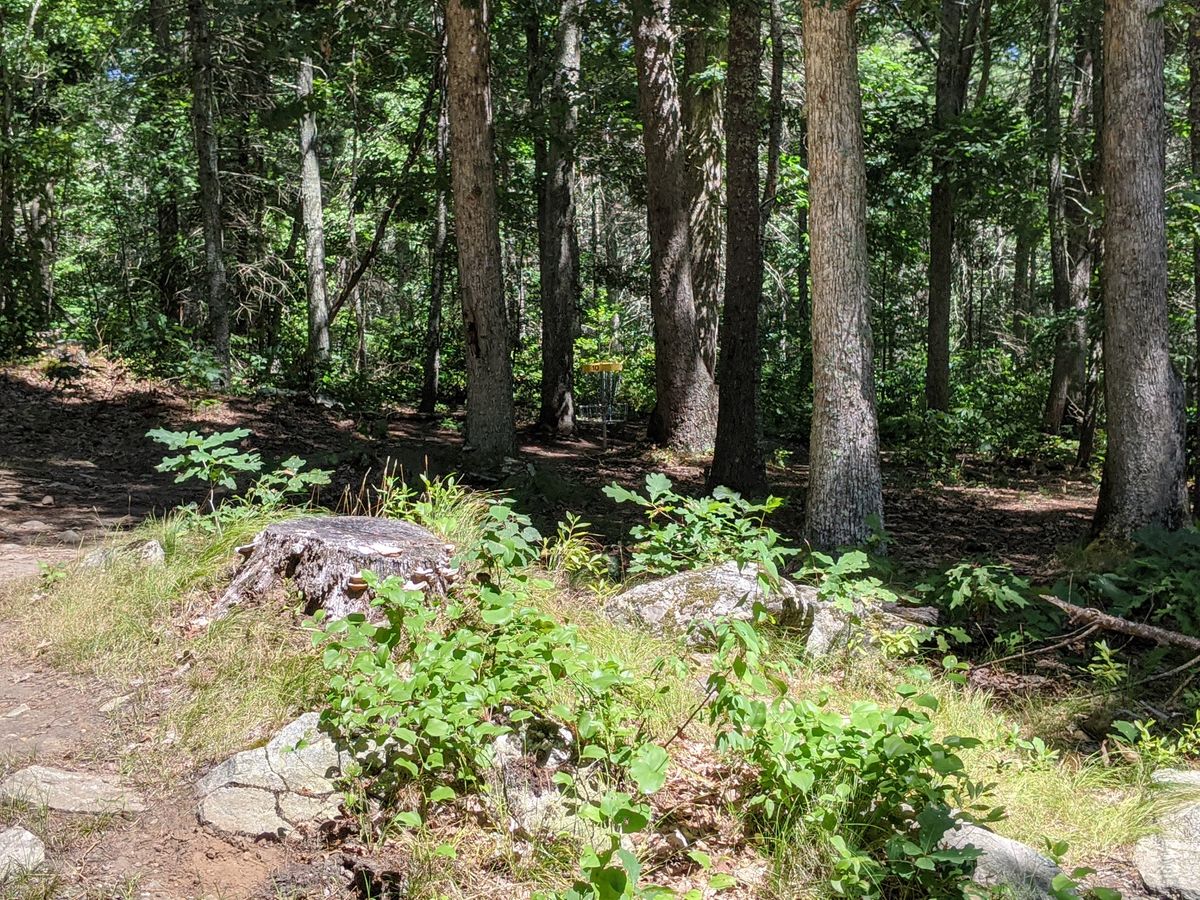 Hole 10
