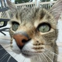 spwncerl