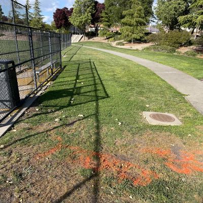 Hole 7, Tee Box, Orange Line Tee.